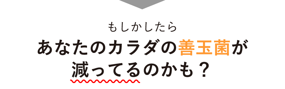 善玉菌が減っているのかも?